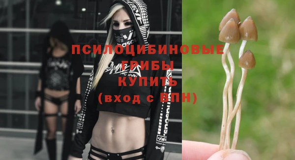 бошки Абинск