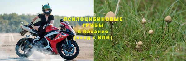 гидра Нефтекумск