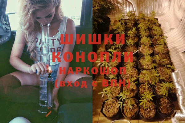 бошки Надым