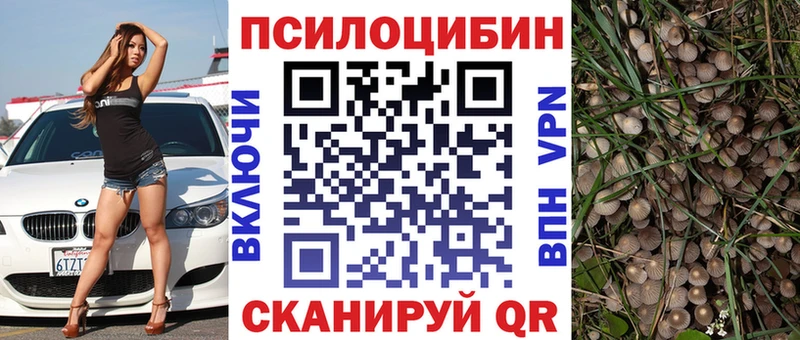 МЕГА онион  закладки  Людиново  Псилоцибиновые грибы мухоморы 