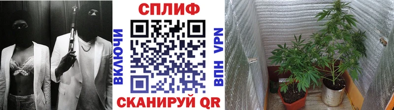 кракен как зайти  наркота  Людиново  Бошки Шишки AK-47 